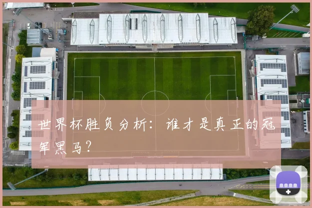 世界杯胜负分析：谁才是真正的冠军黑马？