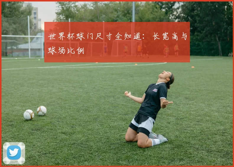 世界杯球门尺寸全知道：长宽高与球场比例